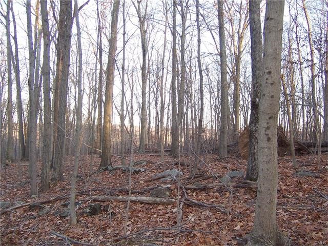 39 Pisgah Road, Oxford, CT 06478