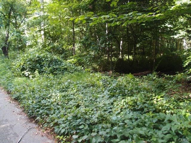 8 Shady Rest Boulevard, Newtown, CT 06482