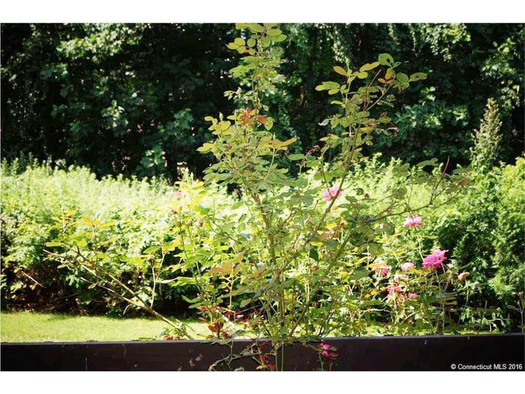 77Balance Rock Rd #18, Seymour, CT 06483