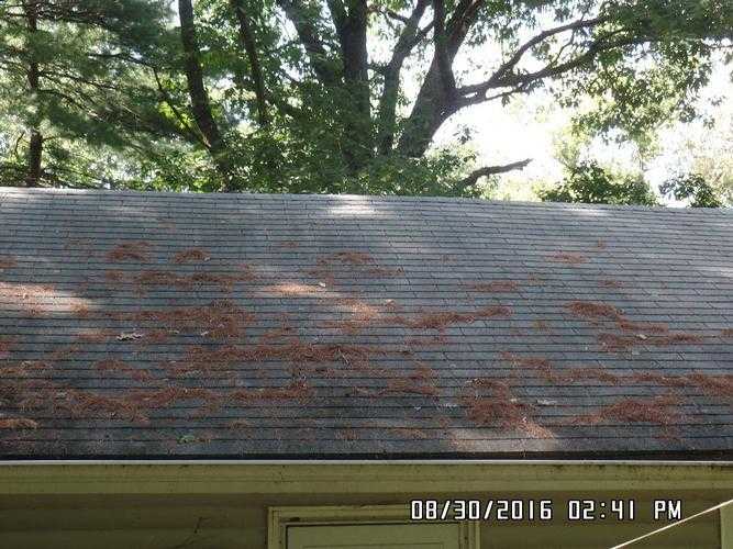 Seymour, CT 06483