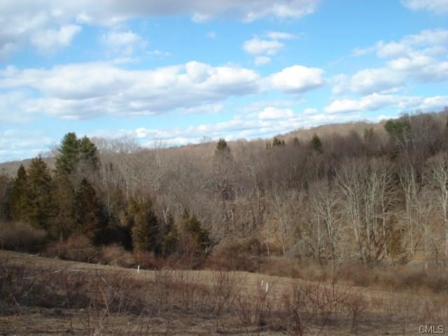 487 Hulls Hill Road, Southbury, CT 06488