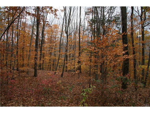 199 South Flat Hill Road, Southbury, CT 06488
