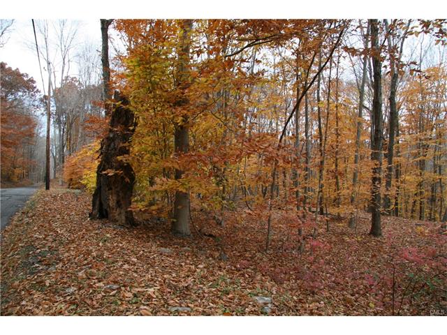 199 South Flat Hill Road, Southbury, CT 06488
