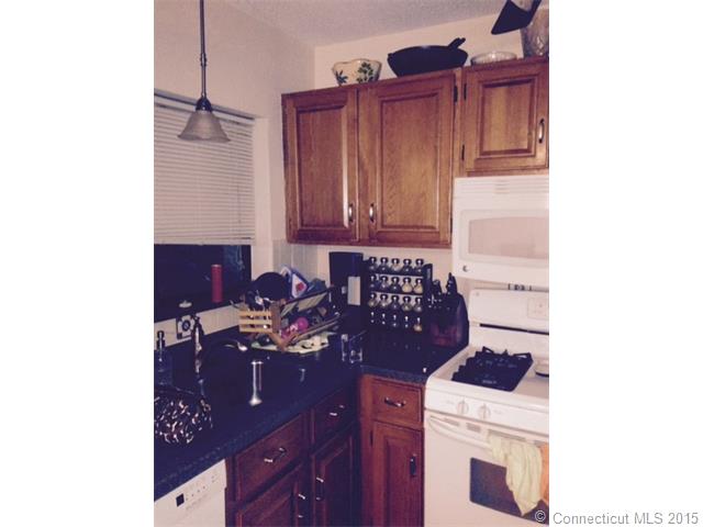 40 Foxon Hill Rd, New Haven, CT 06513