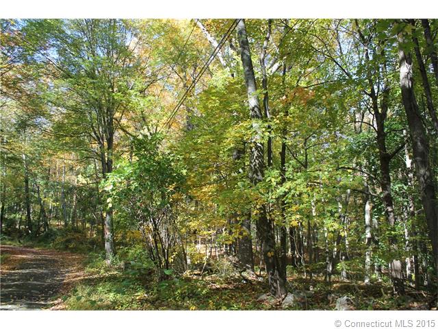 106 Seymour Rd, Woodbridge, CT 06525