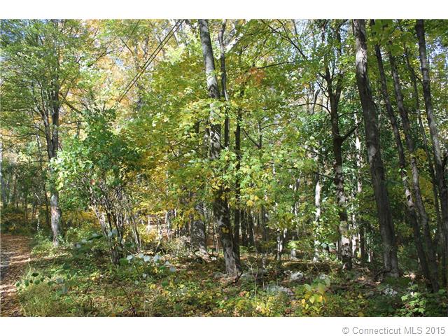 106 Seymour Rd, Woodbridge, CT 06525