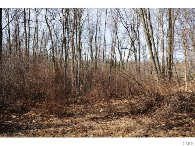 21 Roy Mountain Road, Prospect, CT 06712
