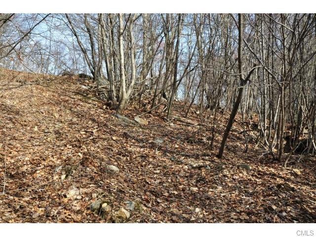 21 Roy Mountain Road, Prospect, CT 06712