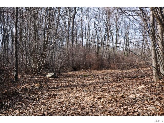21 Roy Mountain Road, Prospect, CT 06712