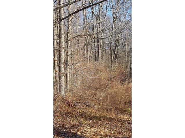 Lot 2 Woodtick Rd, Wolcott, CT 06716