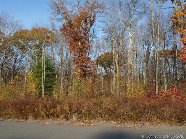 53 Arvida Rd, Wolcott, CT 06716