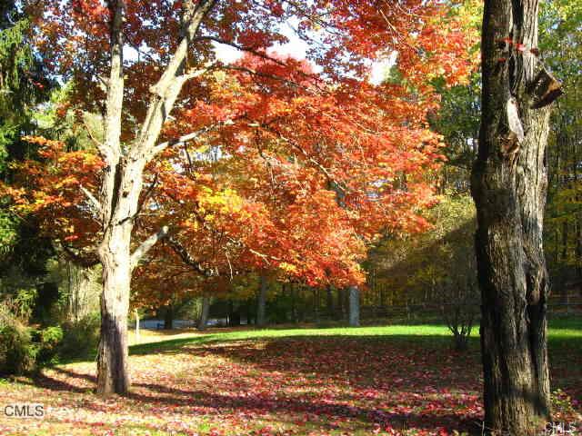 255 Hut Hill Road, Bridgewater, CT 06752