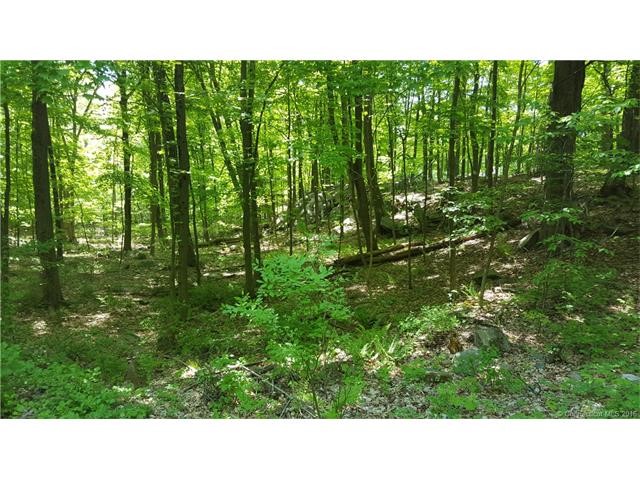 3Benedict Lane, New Milford, CT 06776