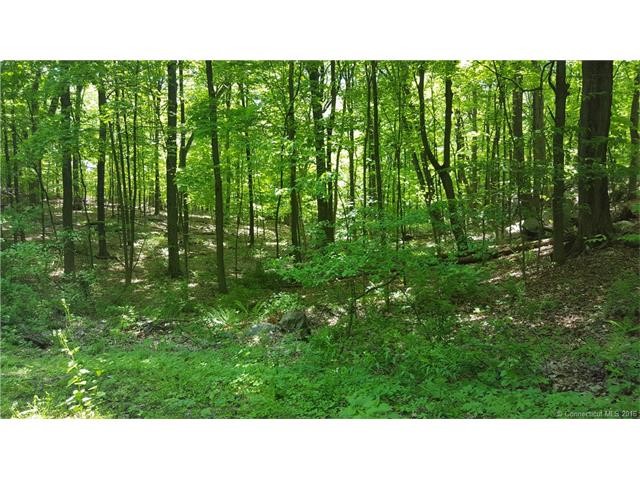 3Benedict Lane, New Milford, CT 06776