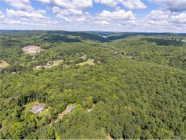 12 Chestnut Lane, Washington, CT 06777