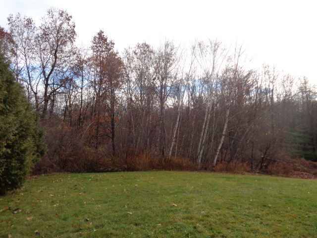 536 Wimbledon GateTorrington, CT, 06790Litchfield County