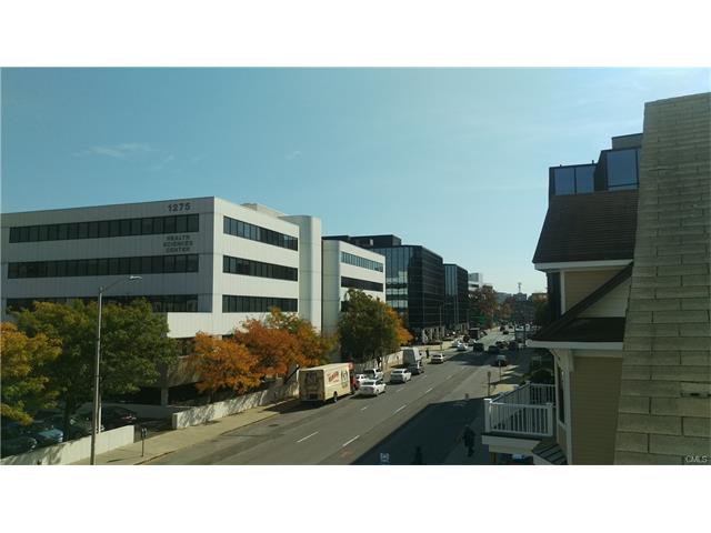 Stamford, CT 06905