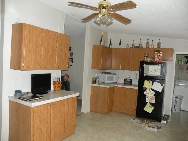 935WILLOW COURT ,DE, Middletown, 19709