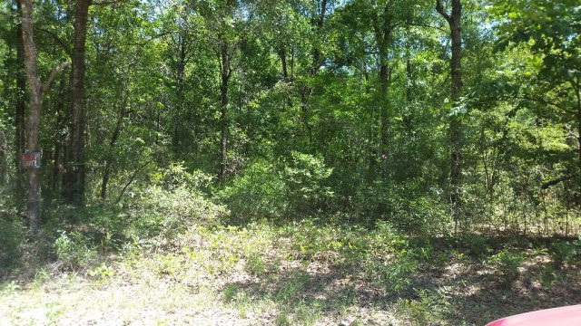 41st Rd, Branford, FL 32008