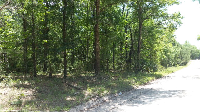 41st Rd, Branford, FL 32008