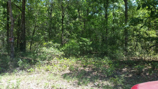 41st Rd, Branford, FL 32008