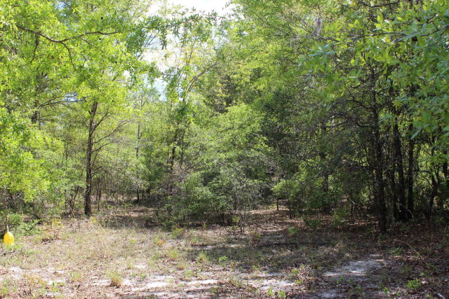 112th Pl, Branford, FL 32008