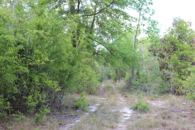 112th Pl, Branford, FL 32008