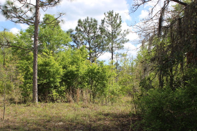 112th Pl, Branford, FL 32008