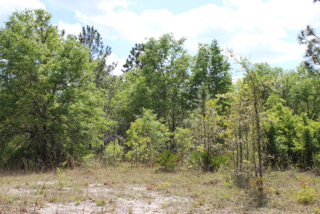 112th Pl, Branford, FL 32008