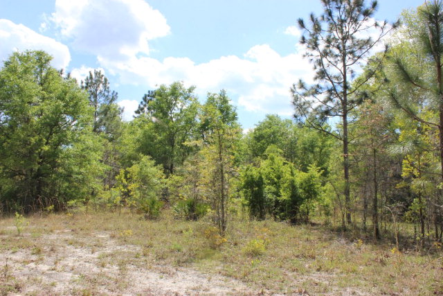 112th Pl, Branford, FL 32008
