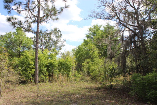 112th Pl, Branford, FL 32008