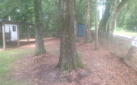 444 SE LAKESHORE BLVD, Branford, FL 32008