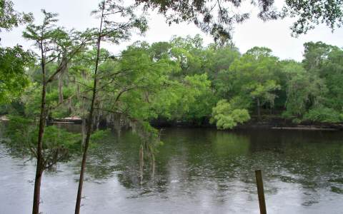 RIVERSIDE EAST DR, Branford, FL 32008