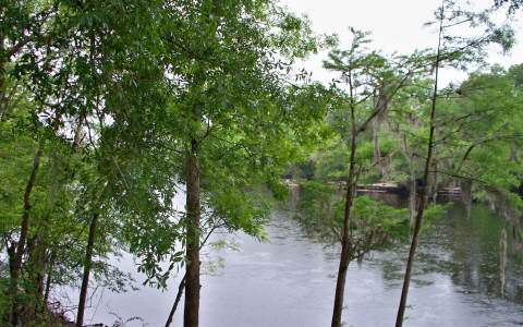 RIVERSIDE EAST DR, Branford, FL 32008