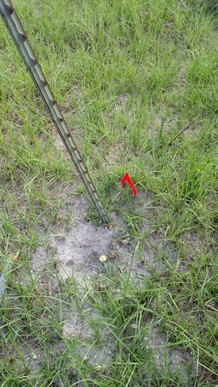 LOT 108 BULLOCK BLUFF RD, Bryceville, FL 32009