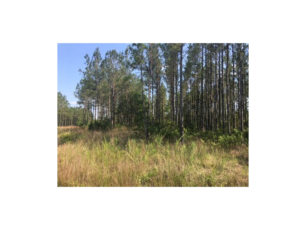 34402 MITIGATION TRAIL, Callahan, FL 32011