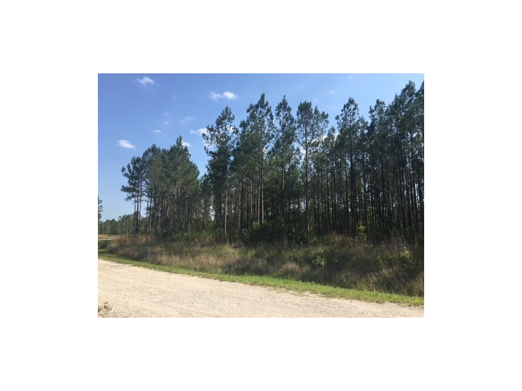 34402 MITIGATION TRAIL, Callahan, FL 32011