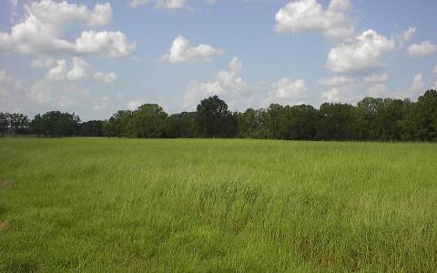 SW Meadow View Court, Lake City, FL 32024