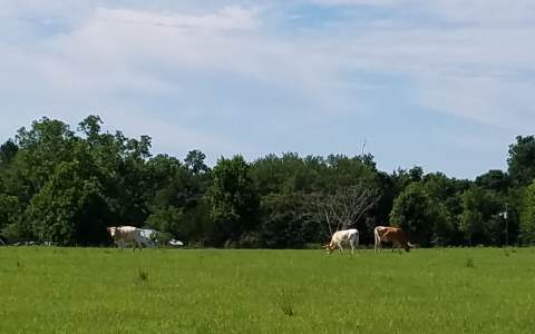 0 SW HIGHPOINT GLEN, Lake City, FL 32024