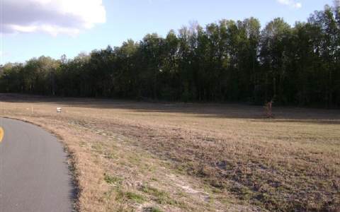 LOT 3 PADDOCK CT, Lake City, FL 32024
