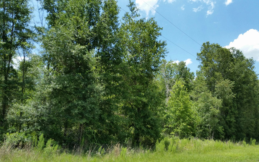 TBD SW BEYOND COURT, Lake City, FL 32024