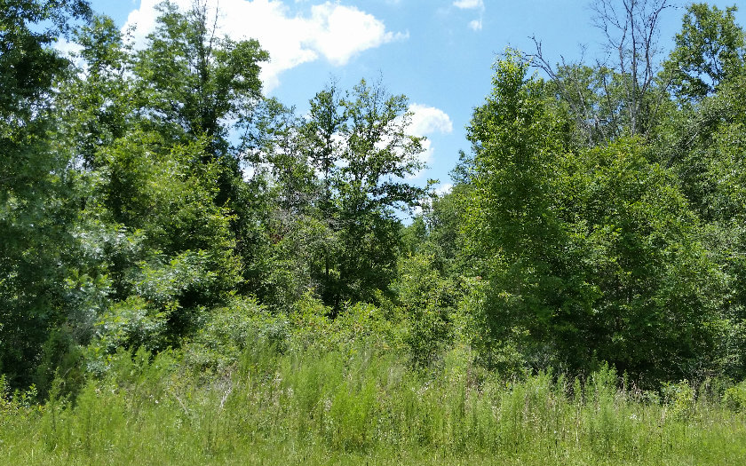 TBD SW BEYOND COURT, Lake City, FL 32024