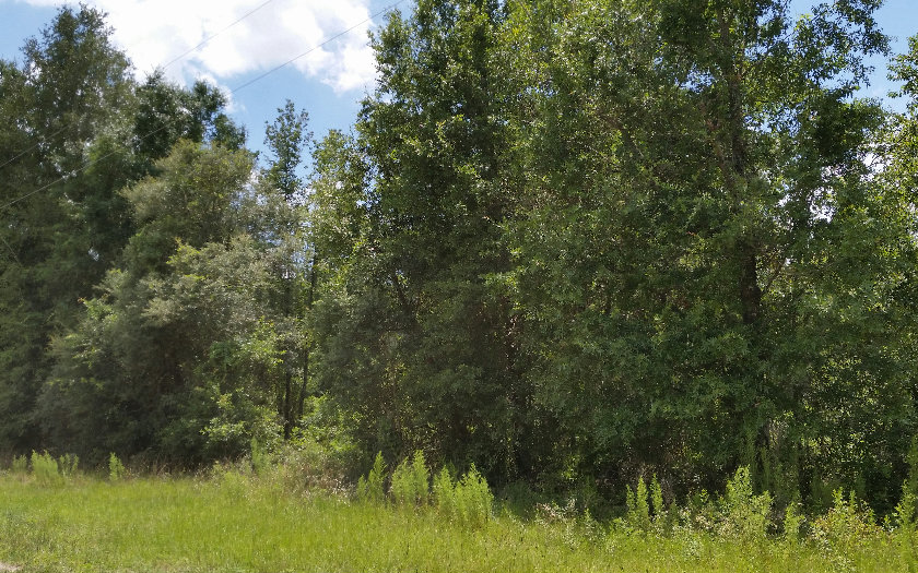 TBD SW BEYOND COURT, Lake City, FL 32024