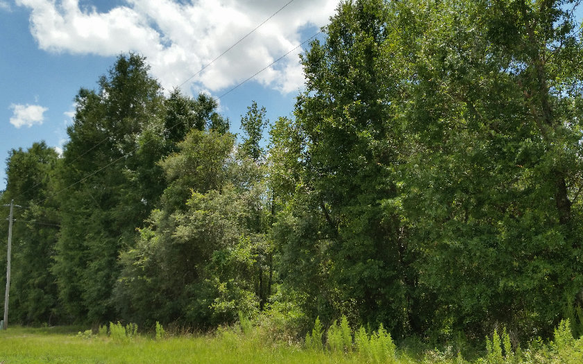 TBD SW BEYOND COURT, Lake City, FL 32024