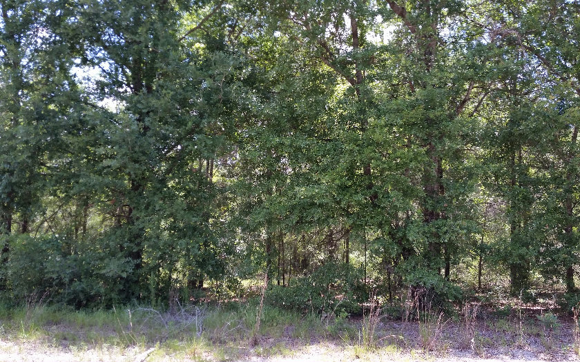 TBD SW BEYOND COURT, Lake City, FL 32024