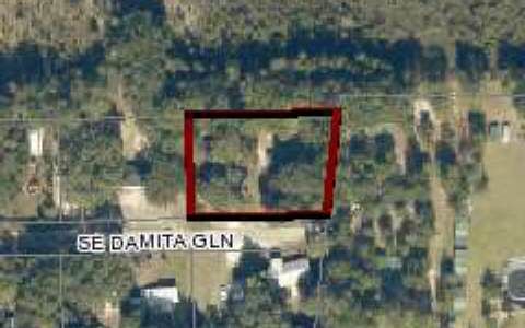 315 DAMITA GLEN, Lake City, FL 32024