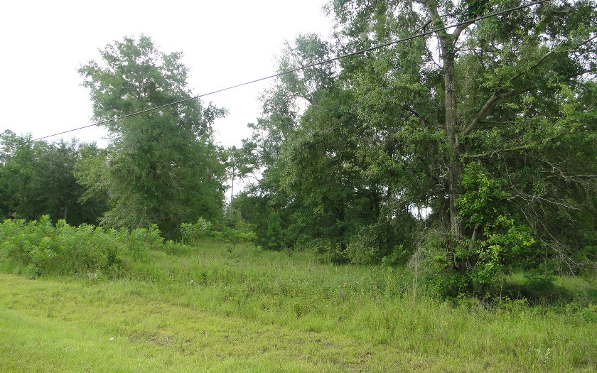 202 SW MEADOWLANDS DR, Lake City, FL 32024