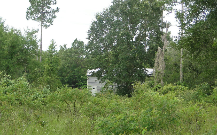 202 SW MEADOWLANDS DR, Lake City, FL 32024