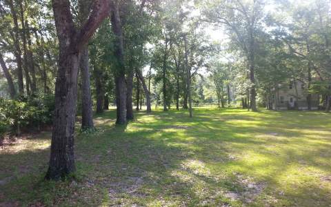 967 SW Bunn Drivee, Lake City, FL 32024
