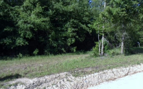 SW ARBOR LANE, Lake City, FL 32024